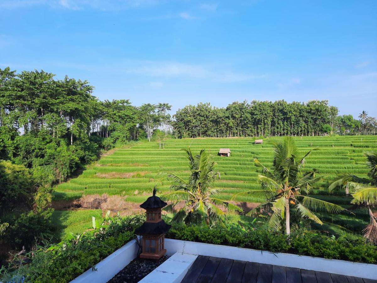Serenity Private Villa Mas Ubud Екстер'єр фото