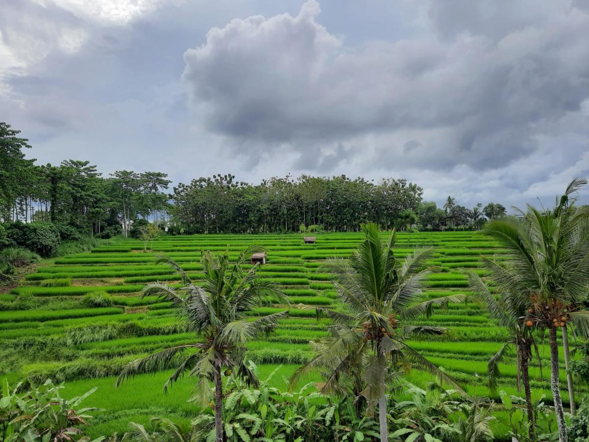 Serenity Private Villa Mas Ubud Екстер'єр фото