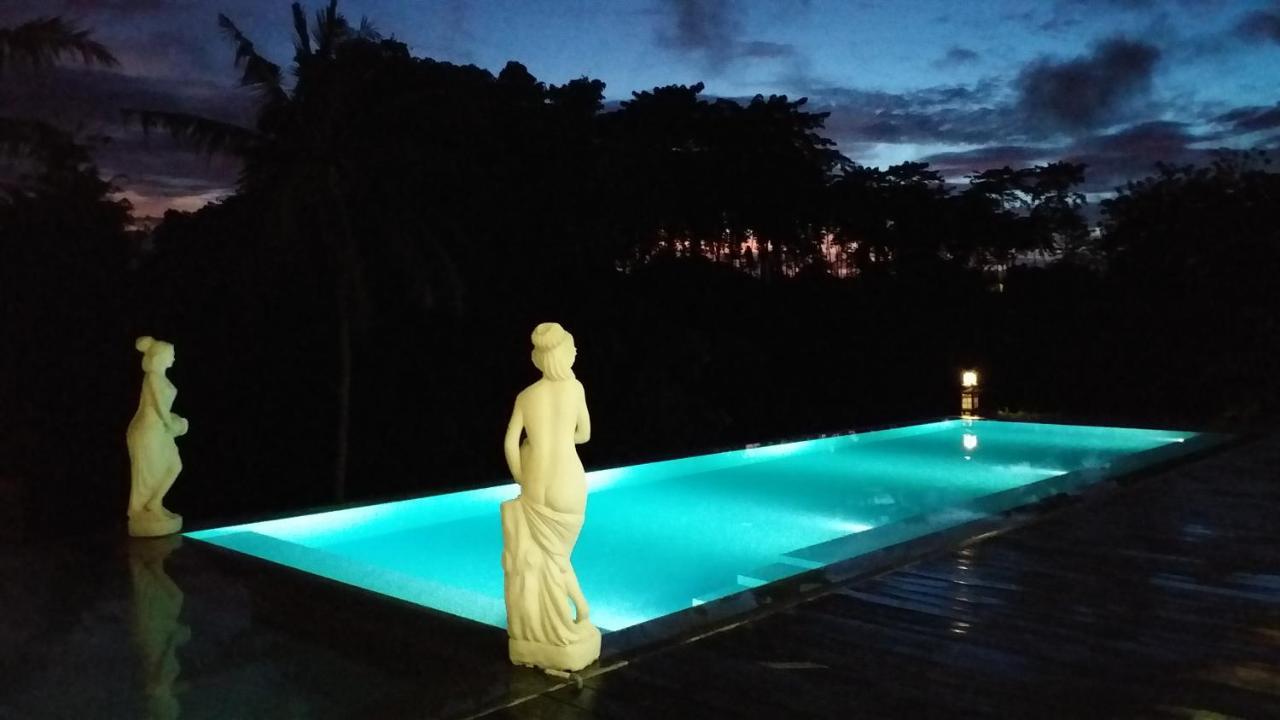 Serenity Private Villa Mas Ubud Екстер'єр фото