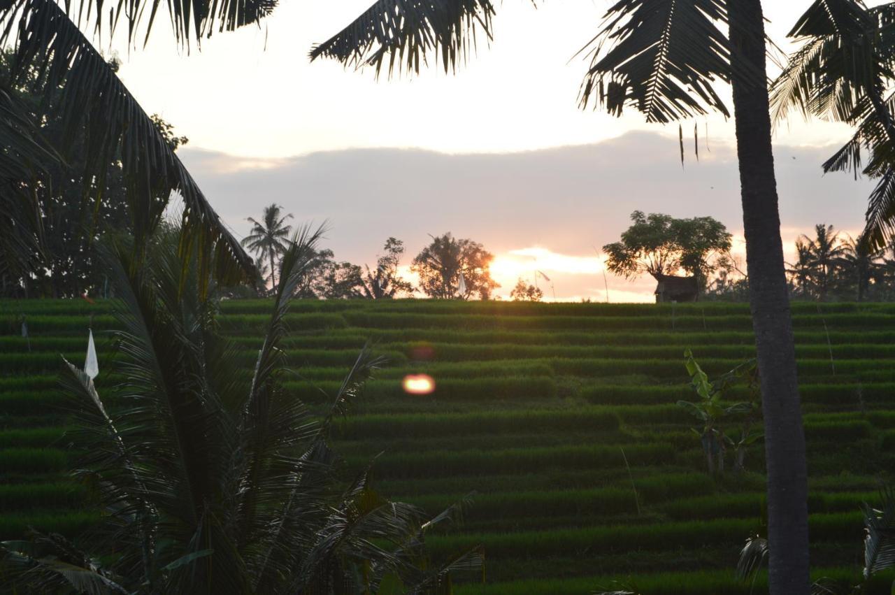 Serenity Private Villa Mas Ubud Екстер'єр фото
