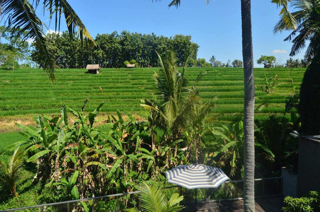 Serenity Private Villa Mas Ubud Екстер'єр фото